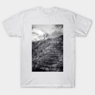 Steps T-Shirt